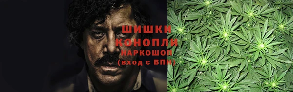 дурь Рославль