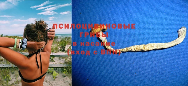 дурь Рославль