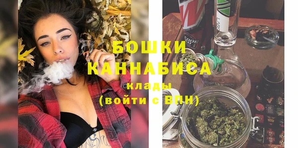 дурь Рославль