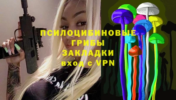 дурь Рославль